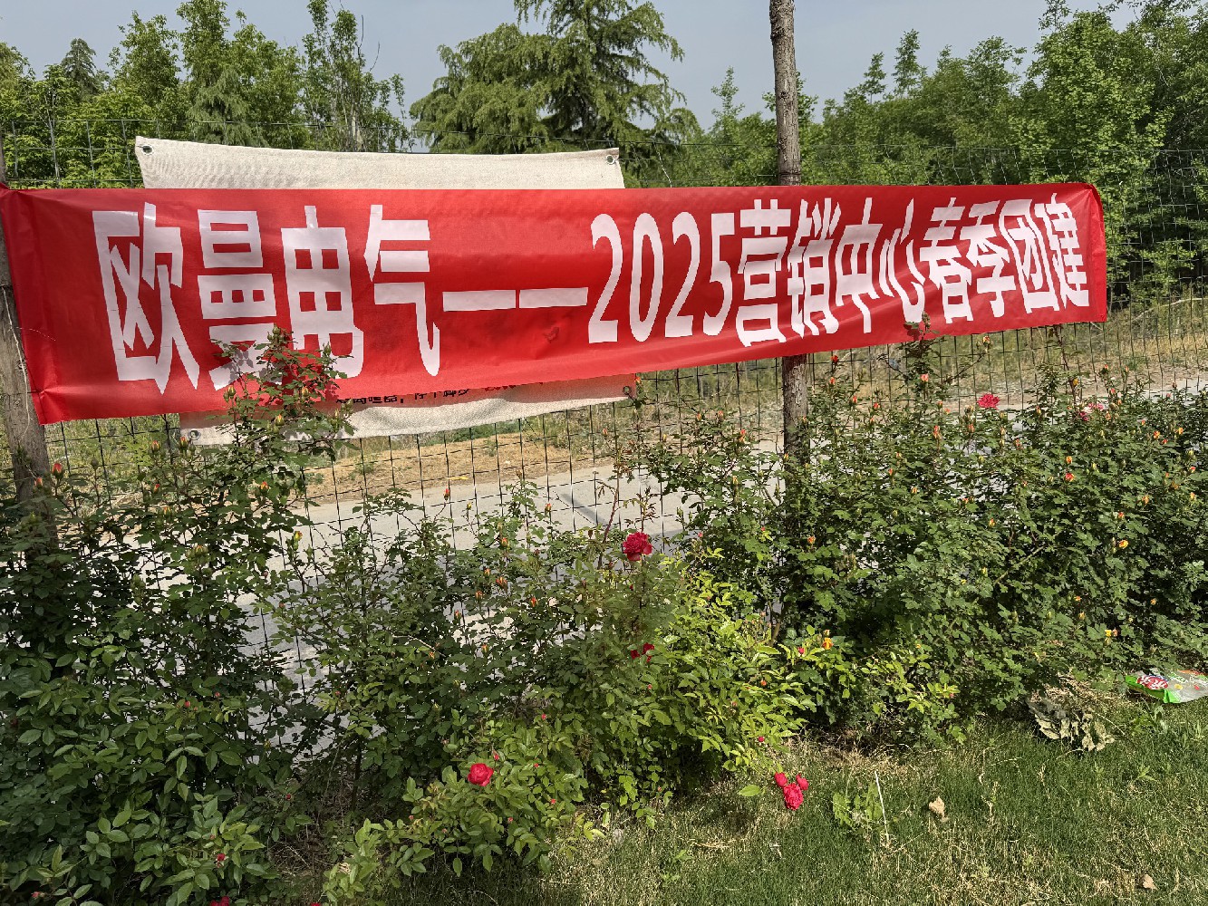 【欧曼电气】团建·一起撒野，快乐翻倍！